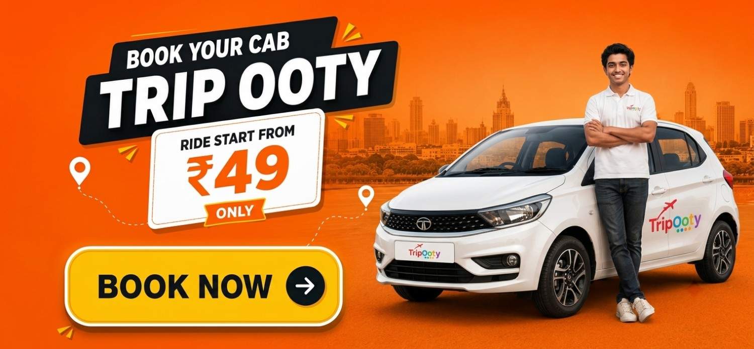 Cab booking service icon