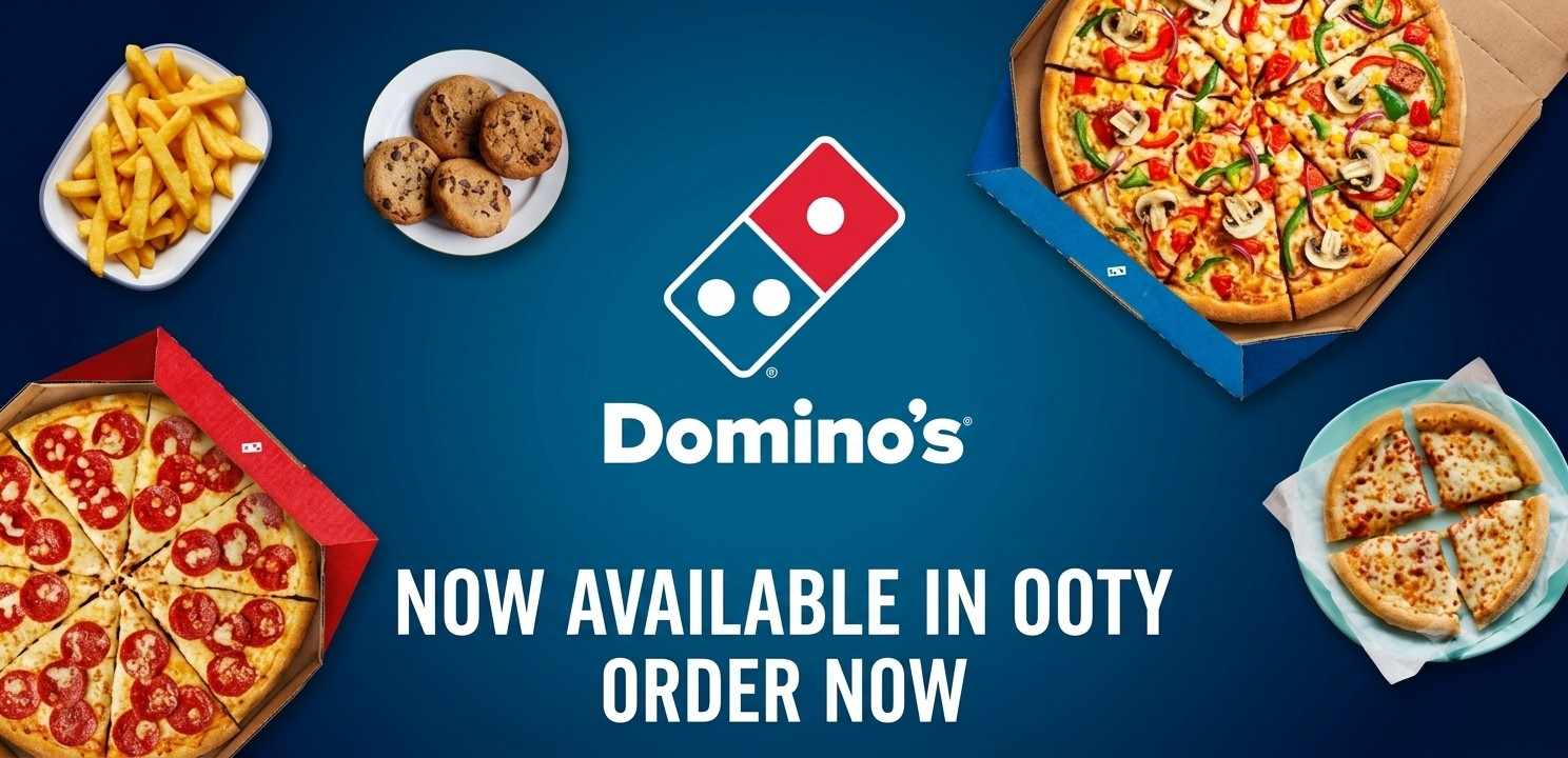 Dominos food delivery partner logo